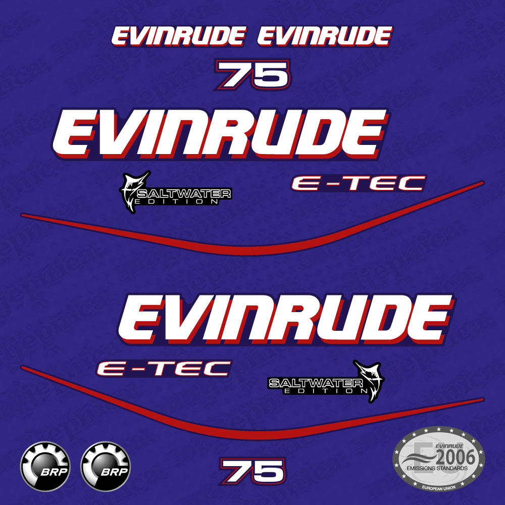 Moteur Evinrude E-TEC